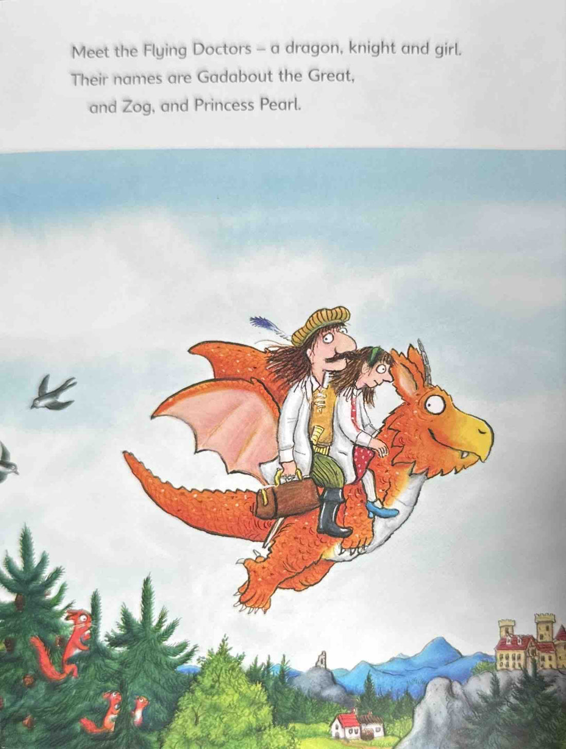 Zog: Zog and the Flying Doctors (Early Reader)