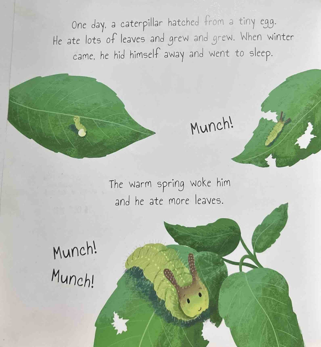 Woodland Tales: Blaze the Butterfly